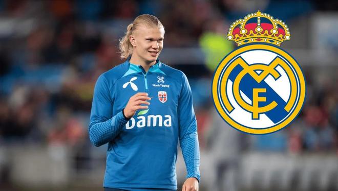 企划将建立 企划将建立